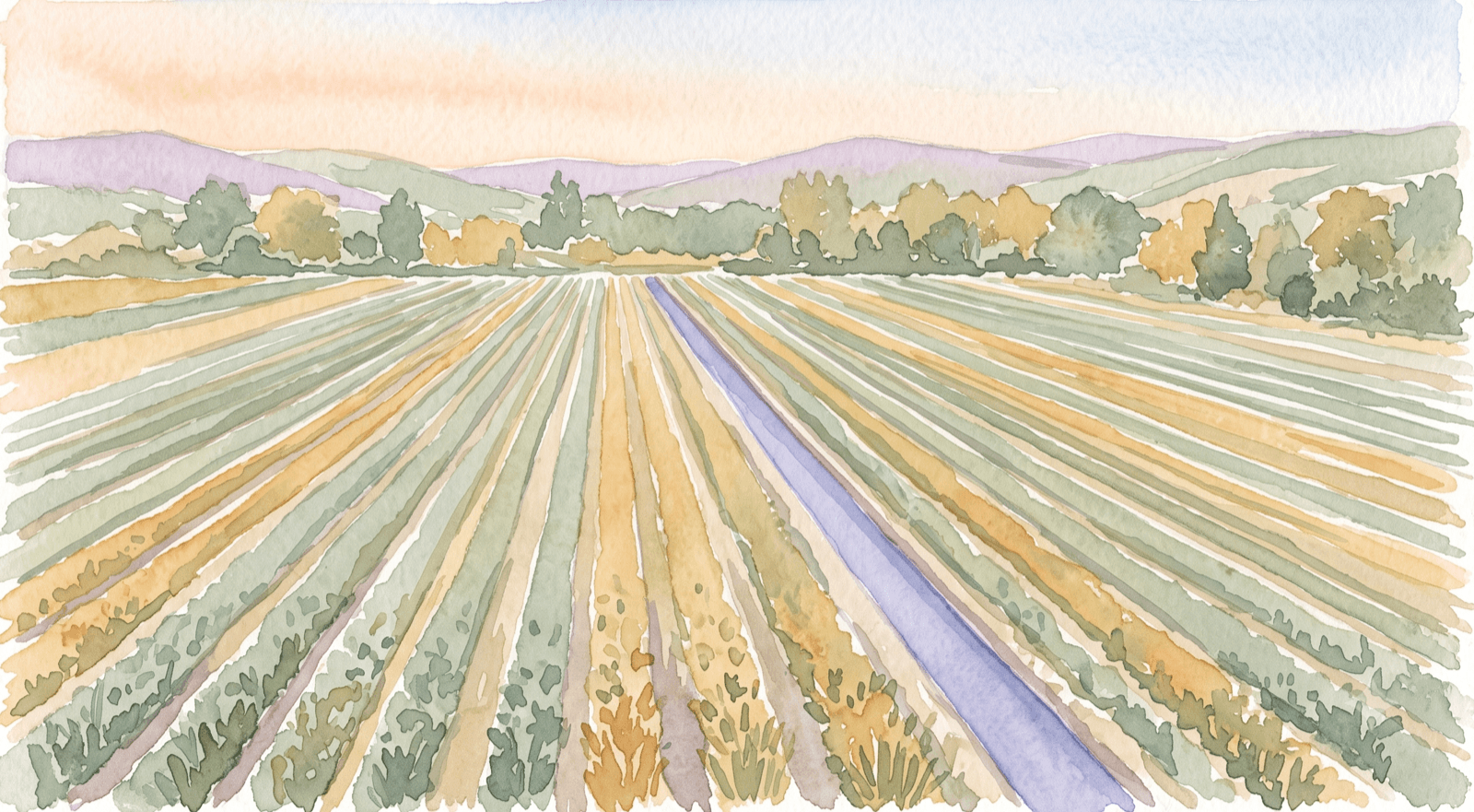 Watercolor of orderly field rows beside a still water channel, representing how LTV.ai learns a brand's visual identity.