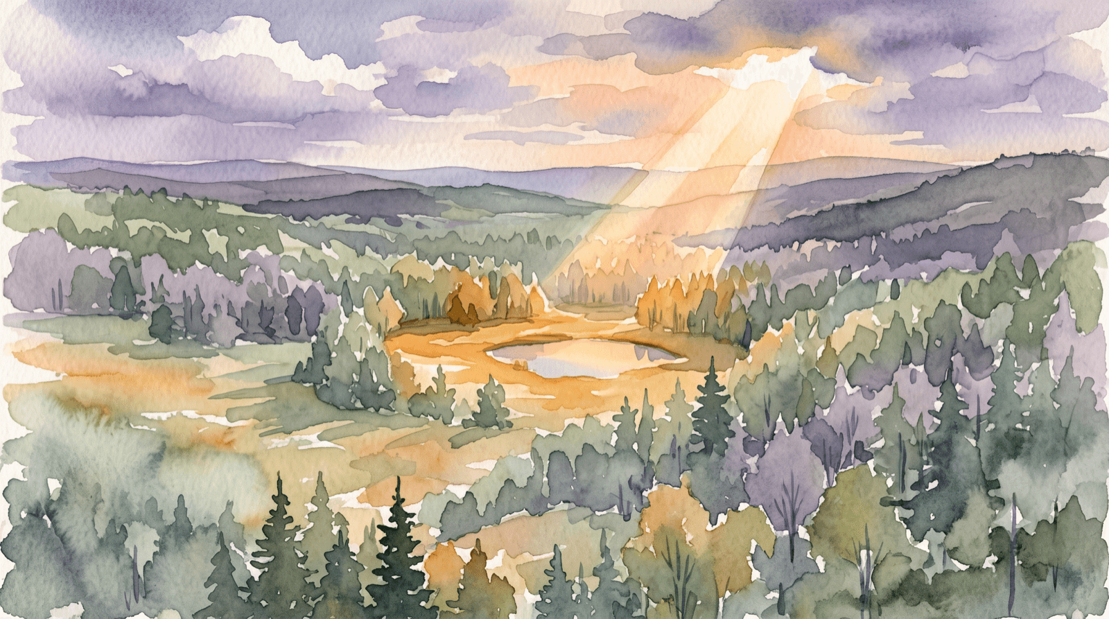 Watercolor of sunlight on a clearing with a pond amid a shaded meadow, representing LTV.ai audience inclusion and exclusion.