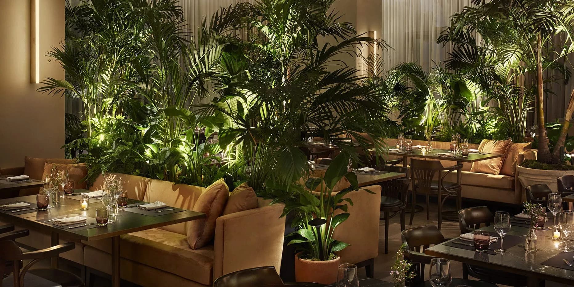 A hotel dining room at night, tables set with candles and wine glasses beneath tall palms and leafy plants.