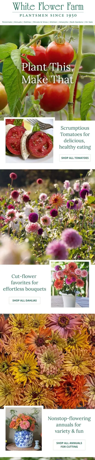 White Flower Farm